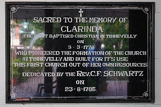 Rasa Clorinda - Wikiunfold.com